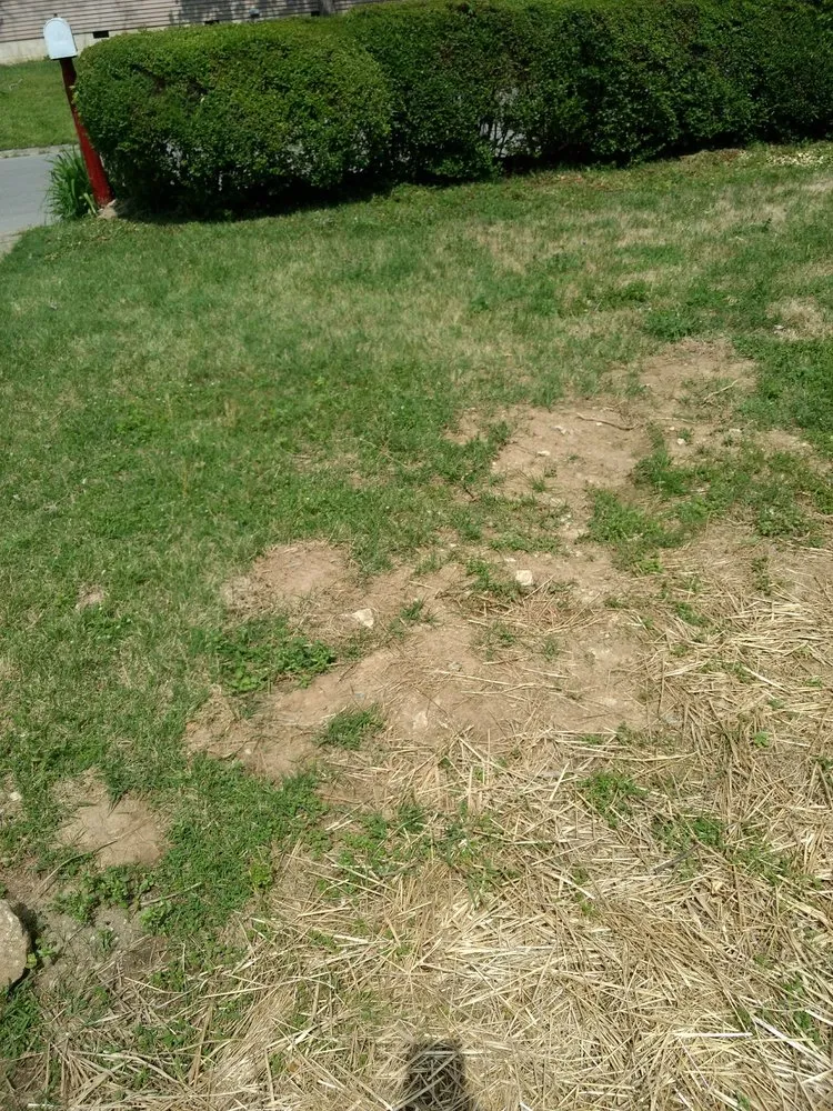 Slide of Pro N Stall