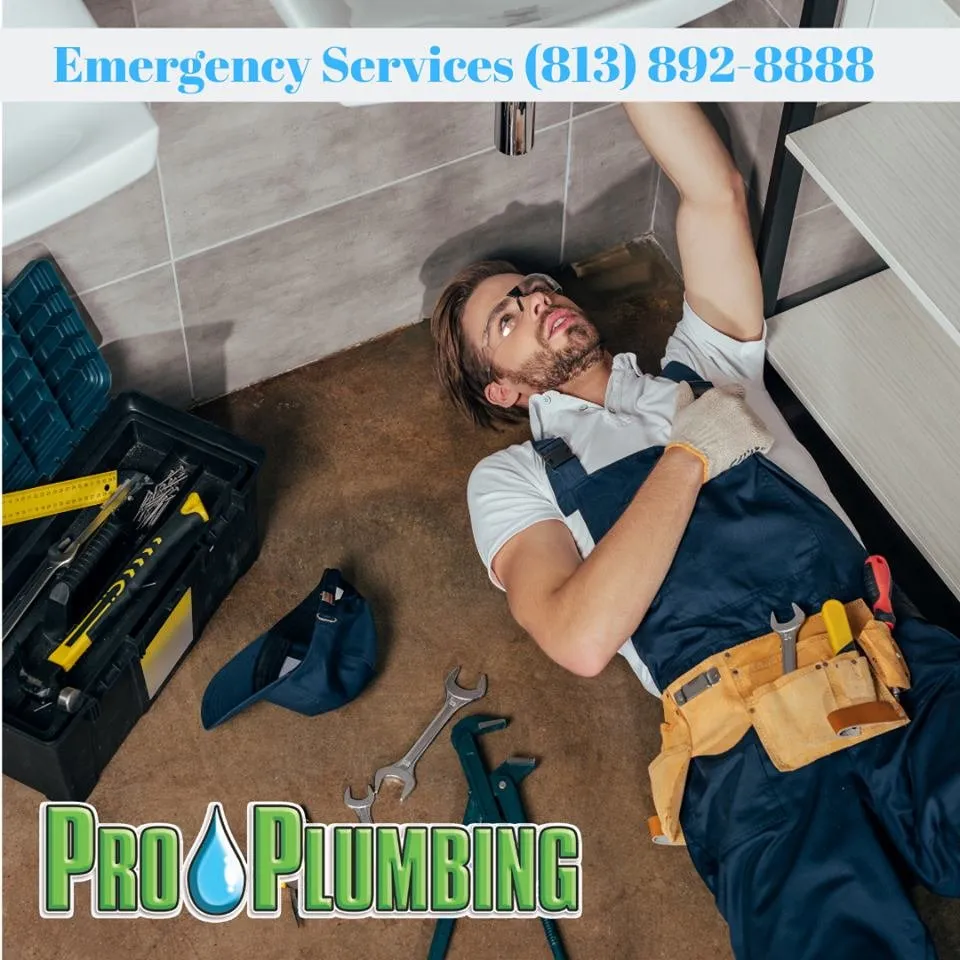 Slide of Pro Plumbing Services