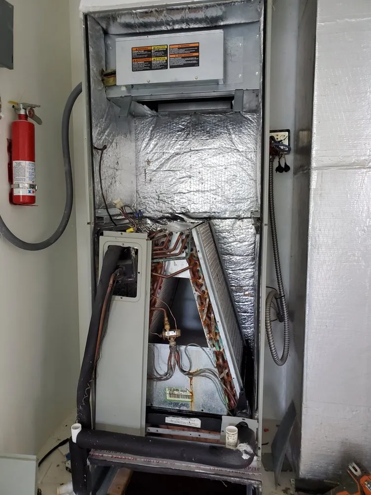 Slide of Pro-Tech Environmental Restoration Services