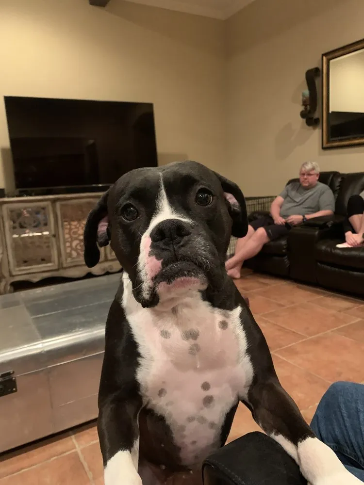 Slide of Pro Temp Air DFW