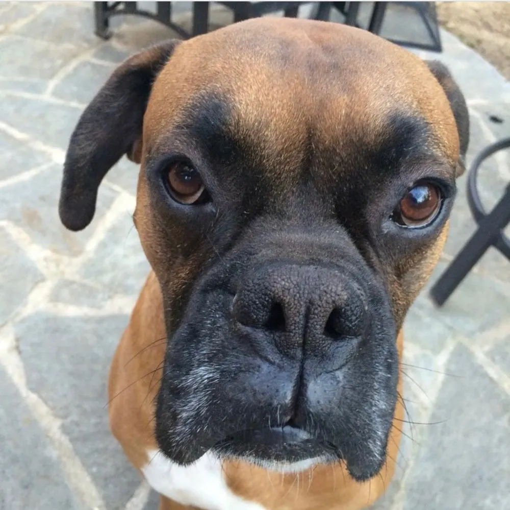 Slide of Pro Temp Air DFW