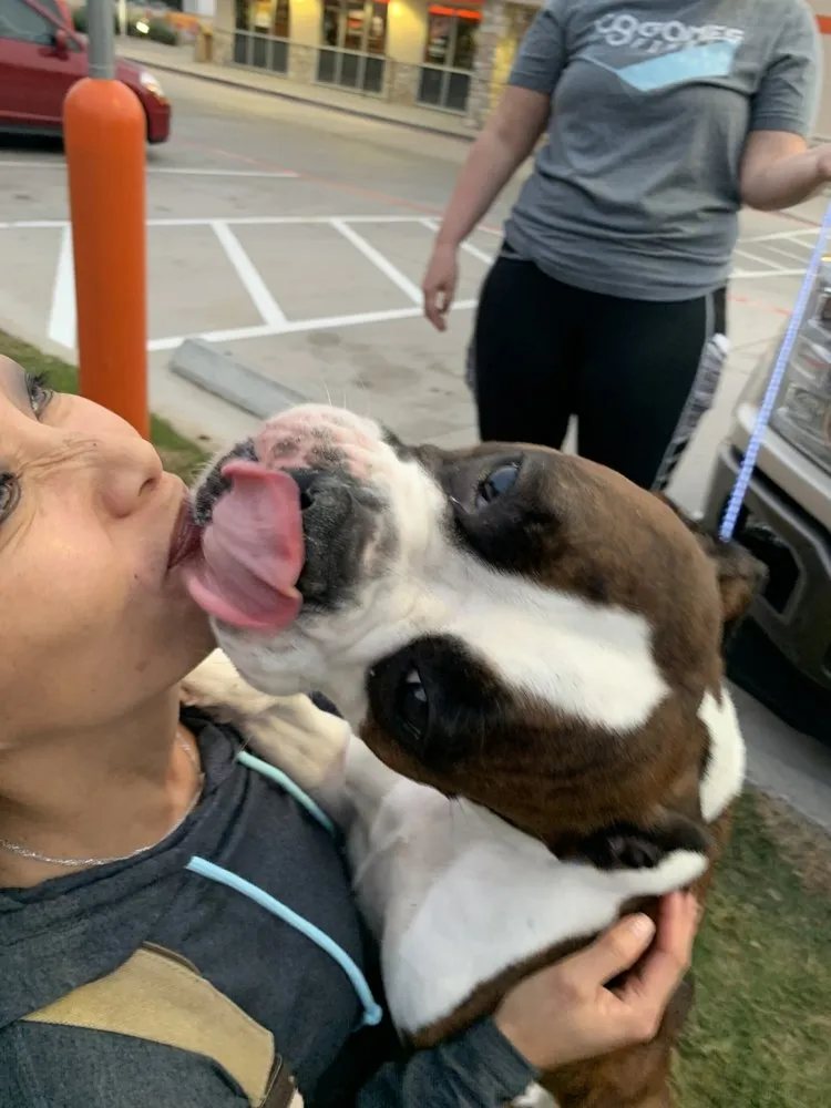 Slide of Pro Temp Air DFW