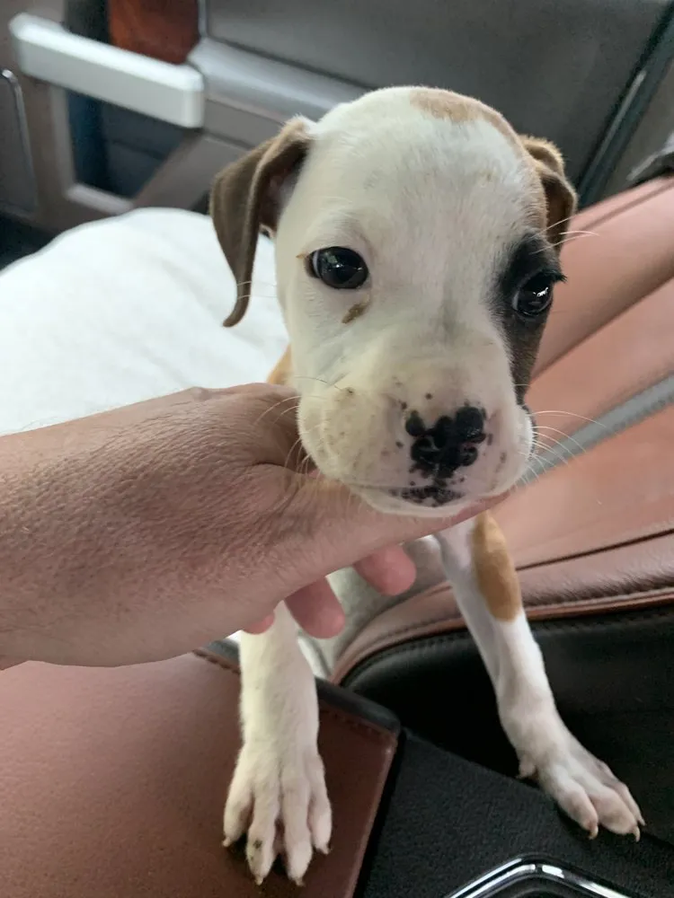 Slide of Pro Temp Air DFW