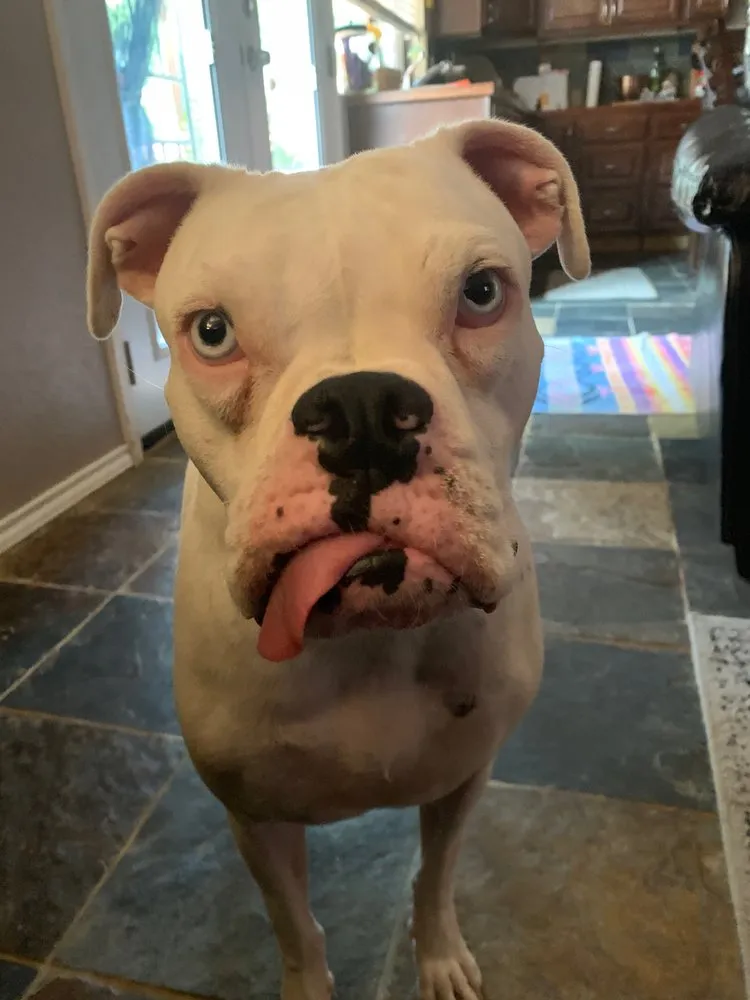 Slide of Pro Temp Air DFW