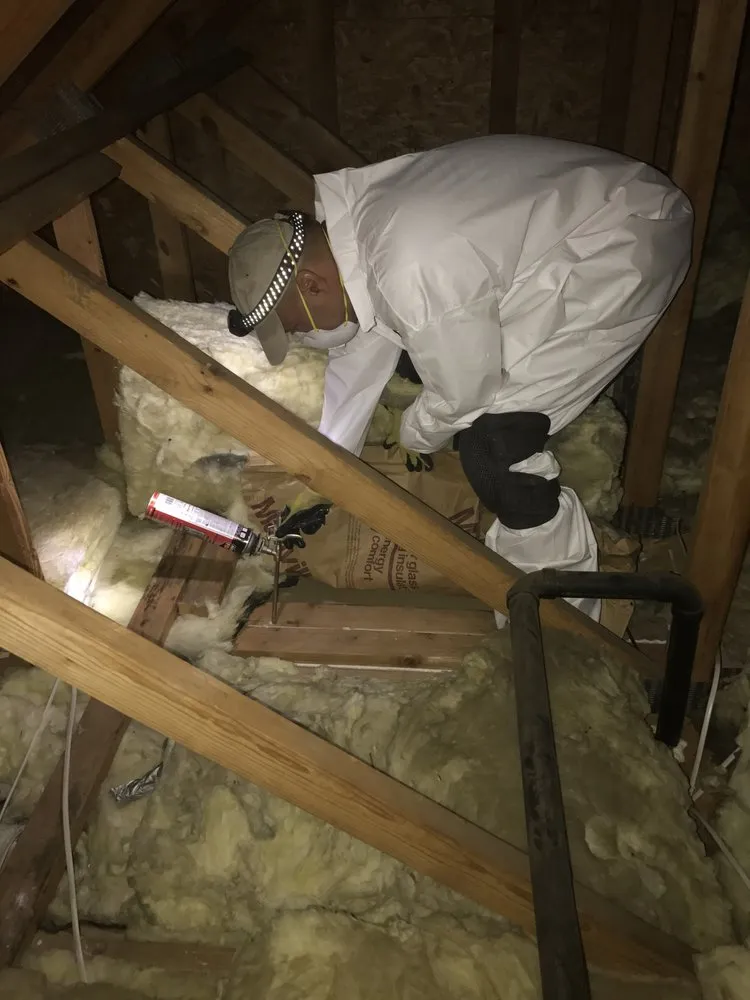 Slide of Professional Energy Savers