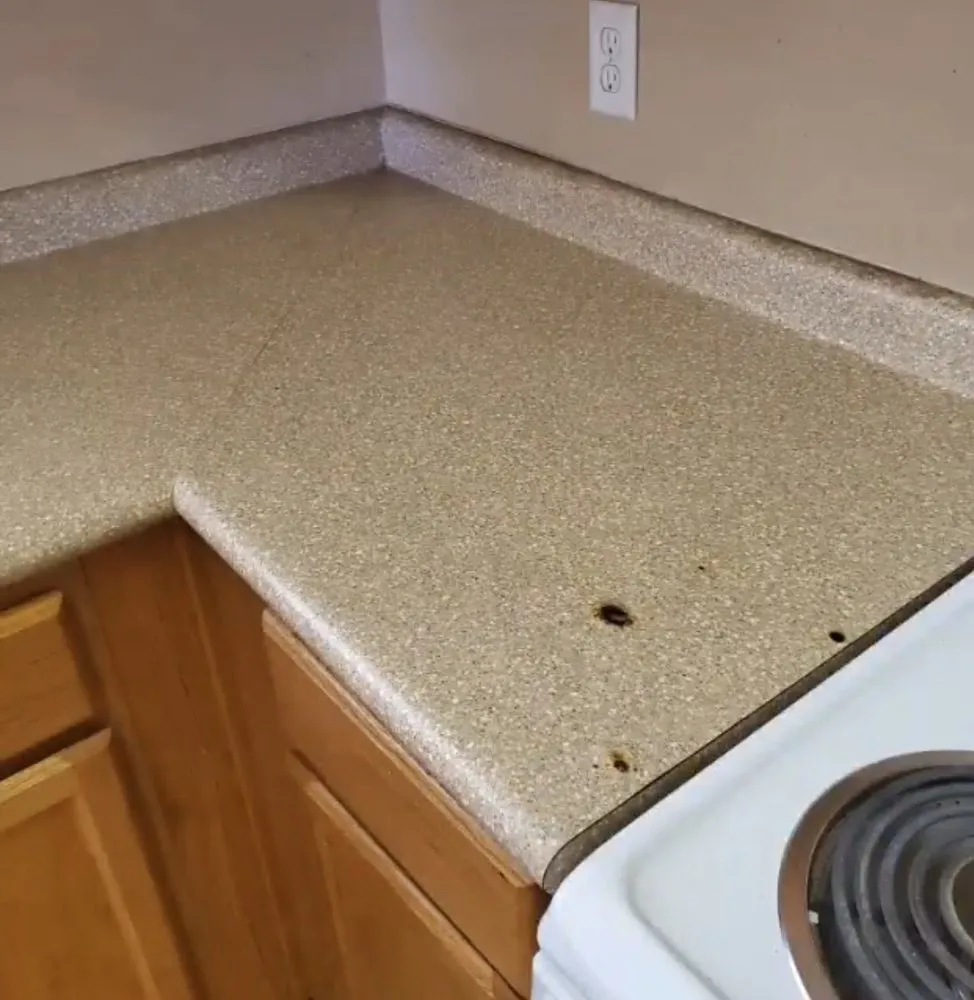 Slide of Professional services climate control