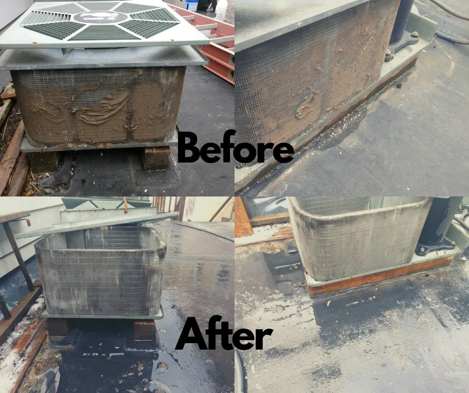 Slide of Professional Services