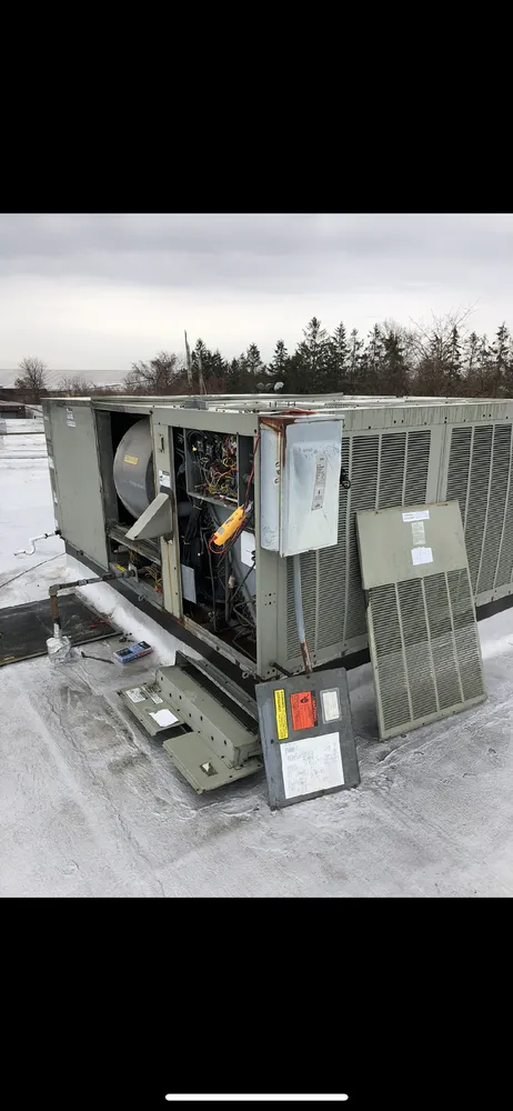 Slide of Professor Pipes