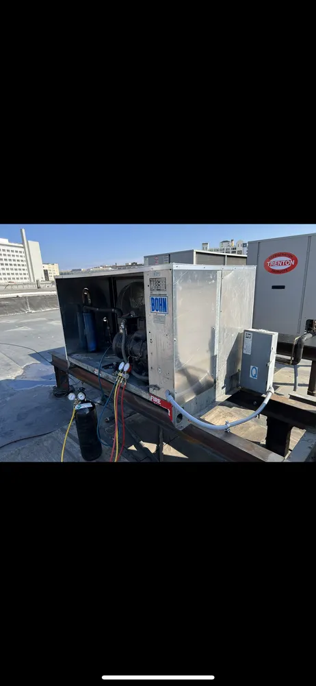 Slide of Professor Pipes