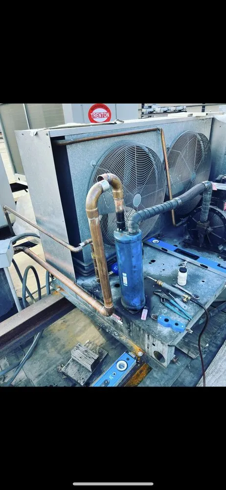 Slide of Professor Pipes