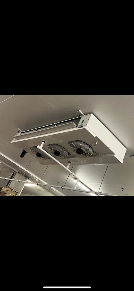 Slide of Professor Pipes