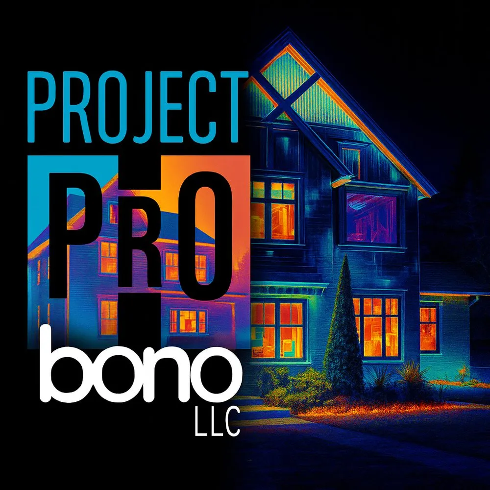 Slide of Project Probono