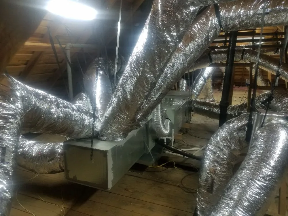 Slide of Prolific Aire