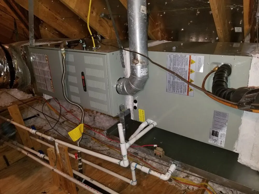 Slide of Prolific Aire