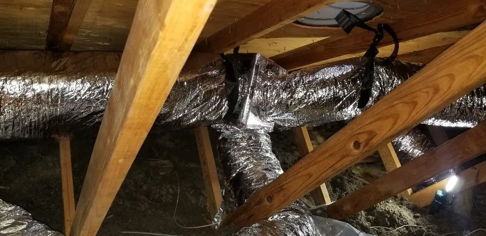 Slide of Prolific Aire