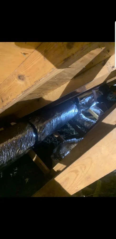 Slide of Prolific Aire