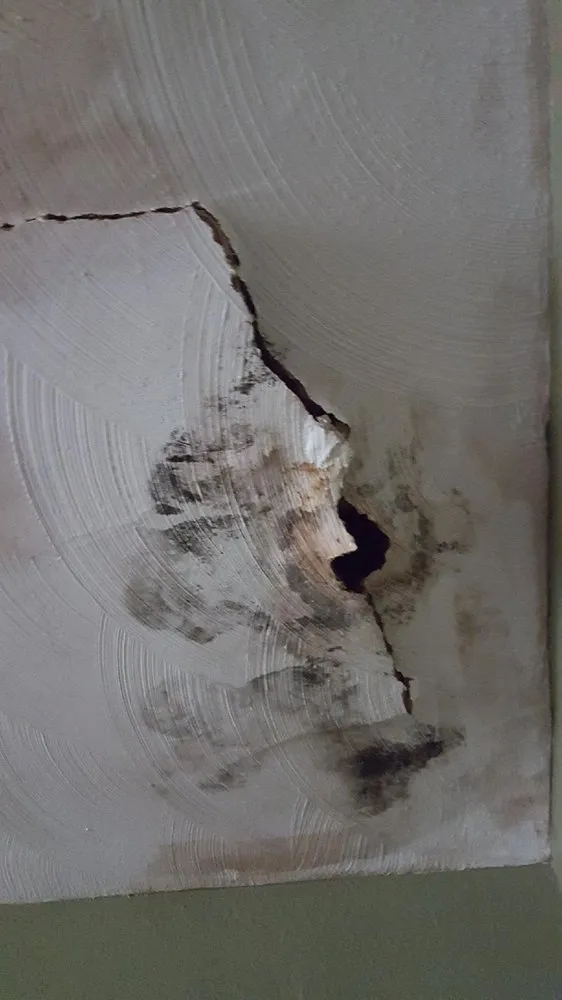 Slide of Promag Energy Group