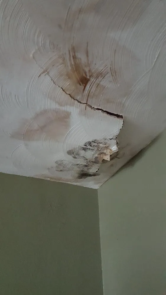 Slide of Promag Energy Group