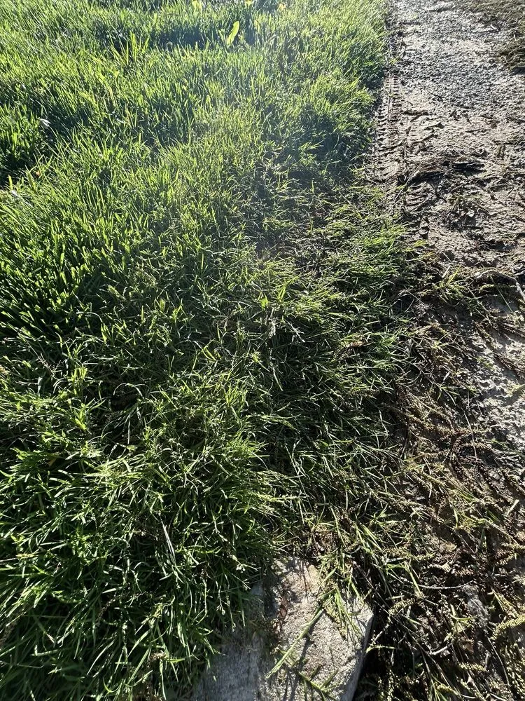 Slide of Pronto Heating & Air Conditioning