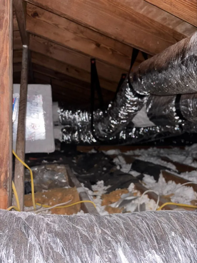 Local HVAC maintenance near you across St. Petersburg, FL - Puffin Air Conditioning and Heating