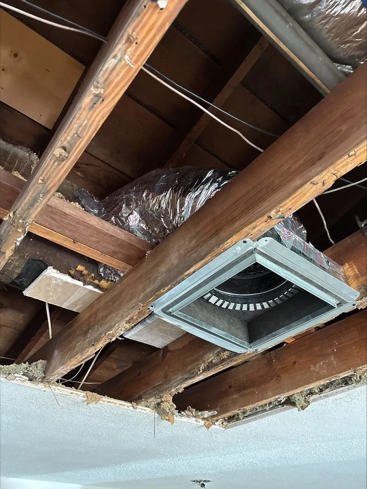 Top-rated air conditioning tune-up in St. Petersburg, FL - Puffin Air Conditioning and Heating