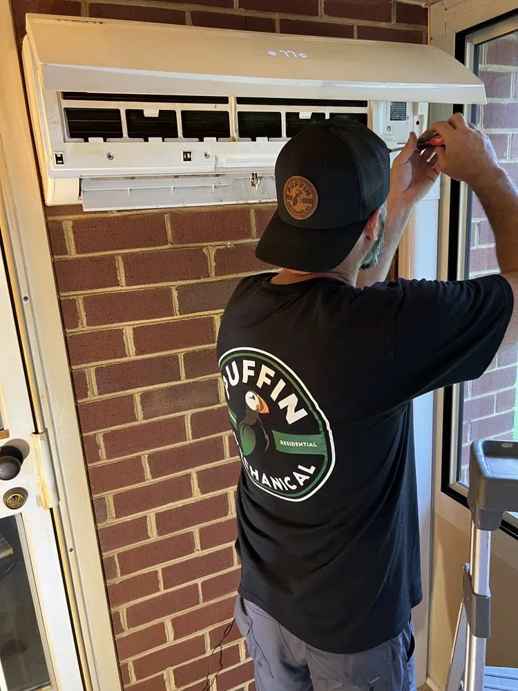 Slide of Puffin Mechanical