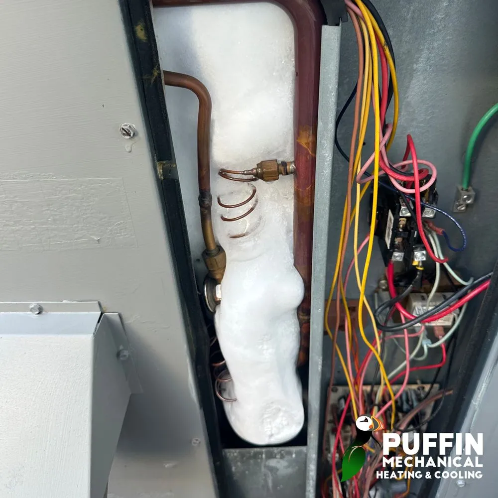 Slide of Puffin Mechanical