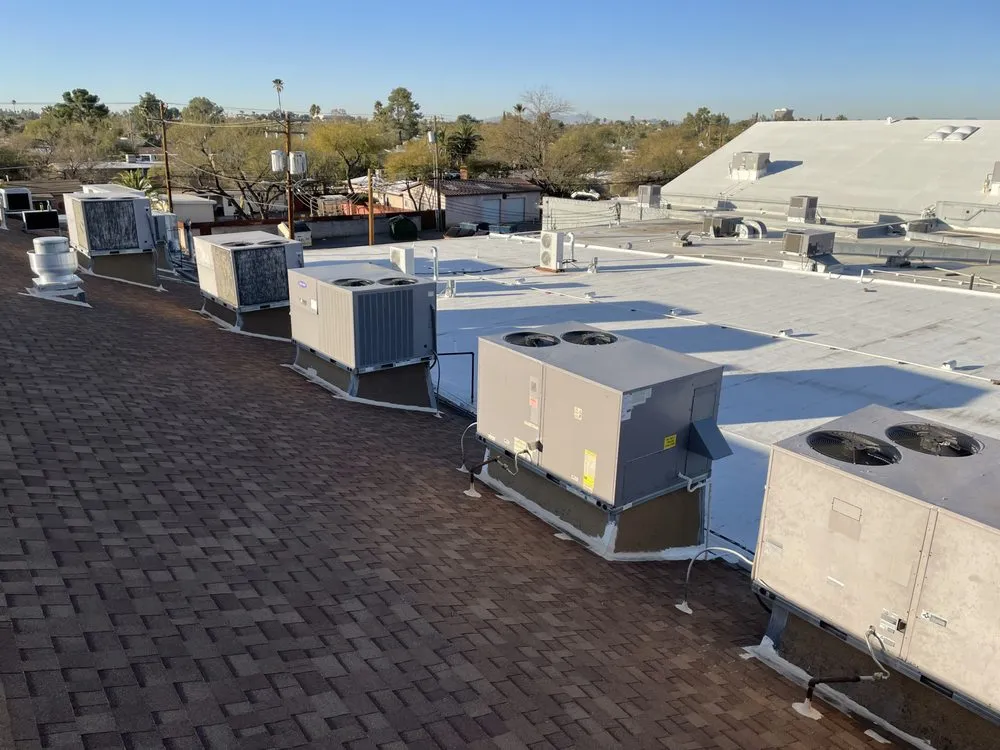 Slide of Pug Mechanical