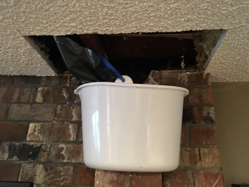 Slide of Puget Sound Pro Services