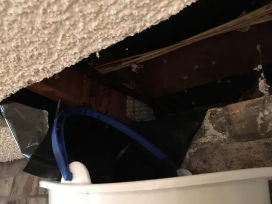 Puget Sound Pro Services Logo