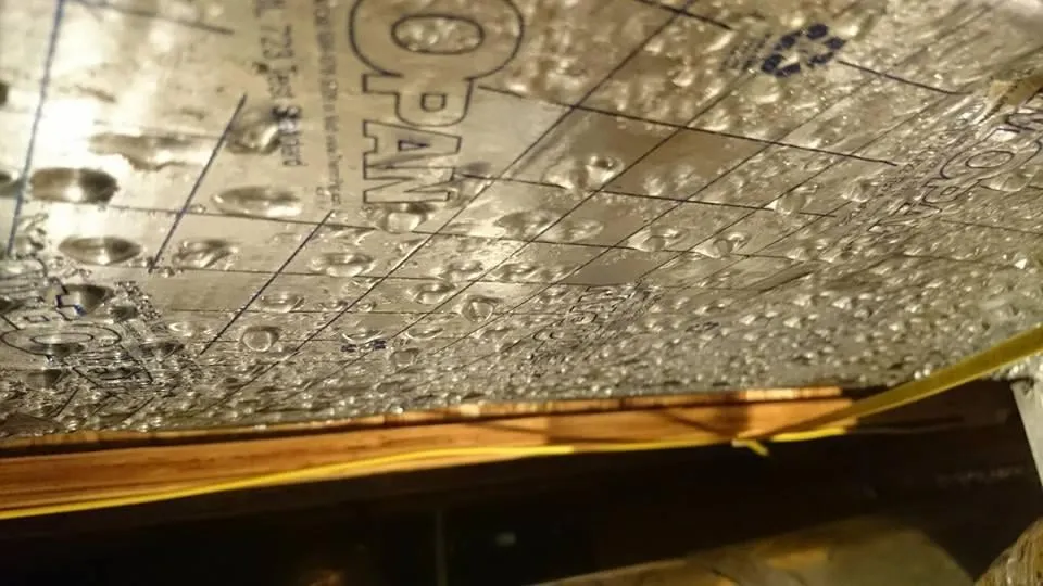 Slide of Pure Clean Techs