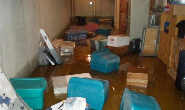 Slide of Pure Clean Techs