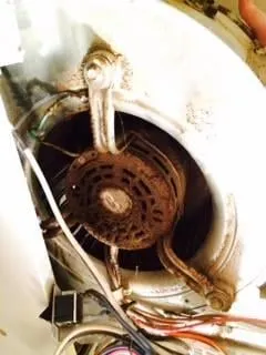 Slide of Pure Clean Techs