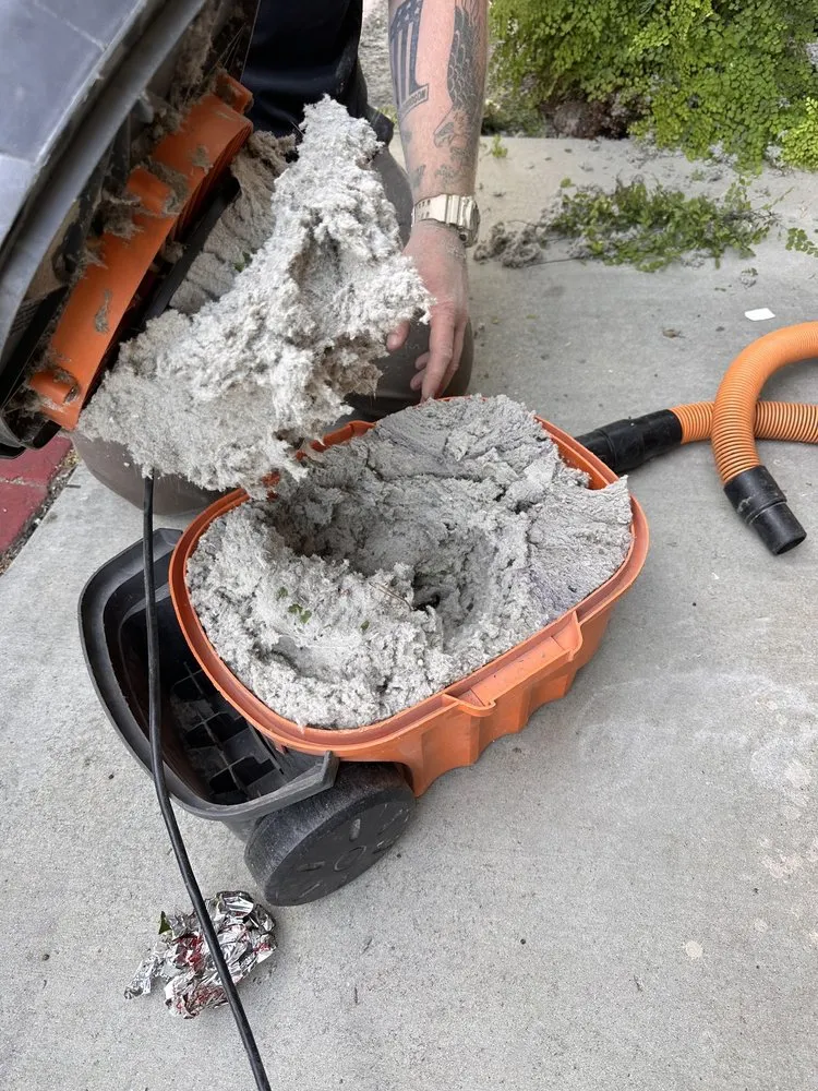 Slide of Pure Expert