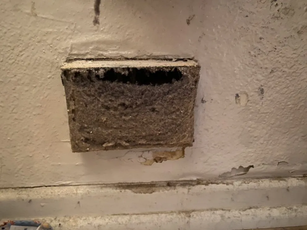 Slide of Pure Expert