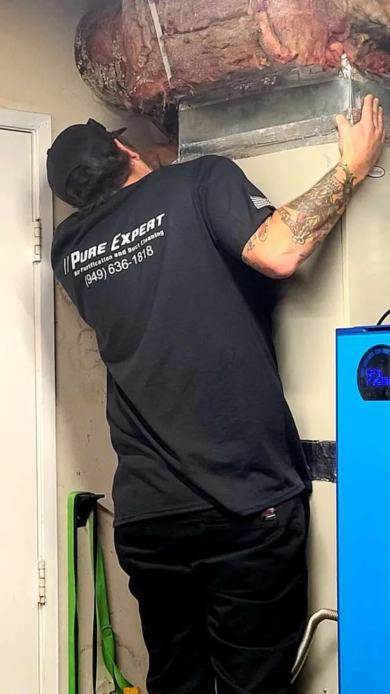 Slide of Pure Expert