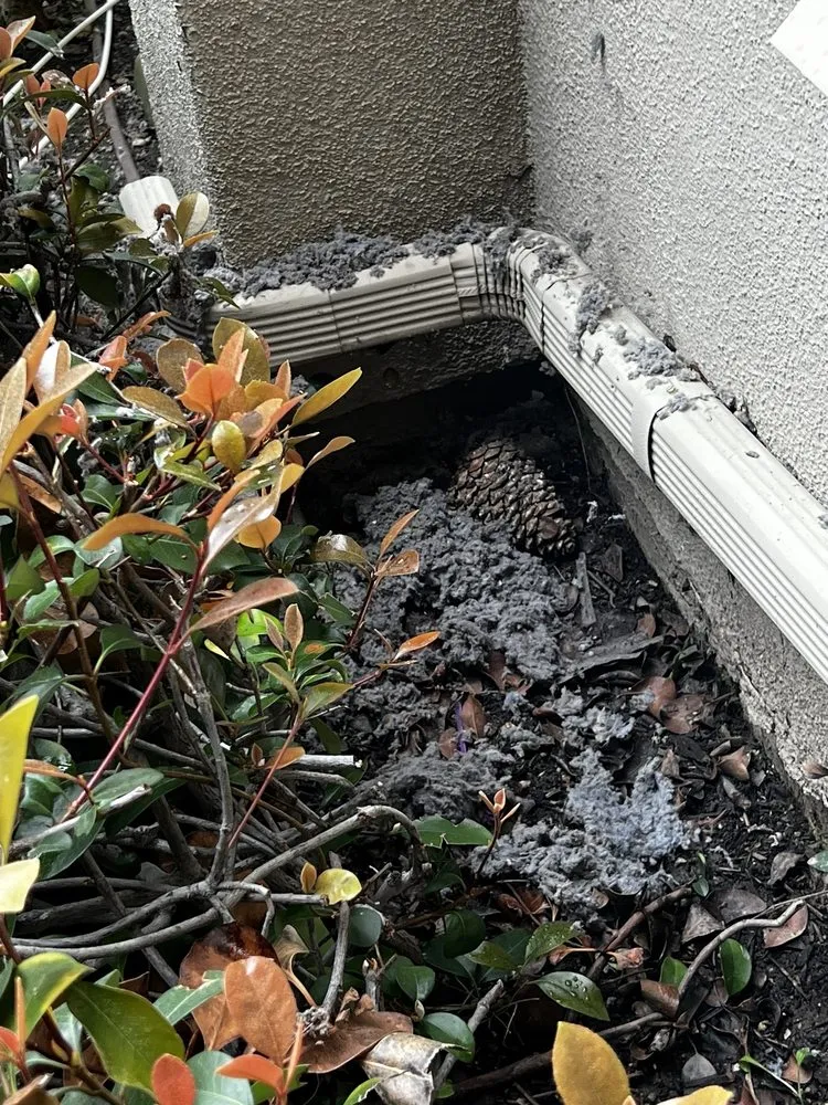 Slide of Pure Expert