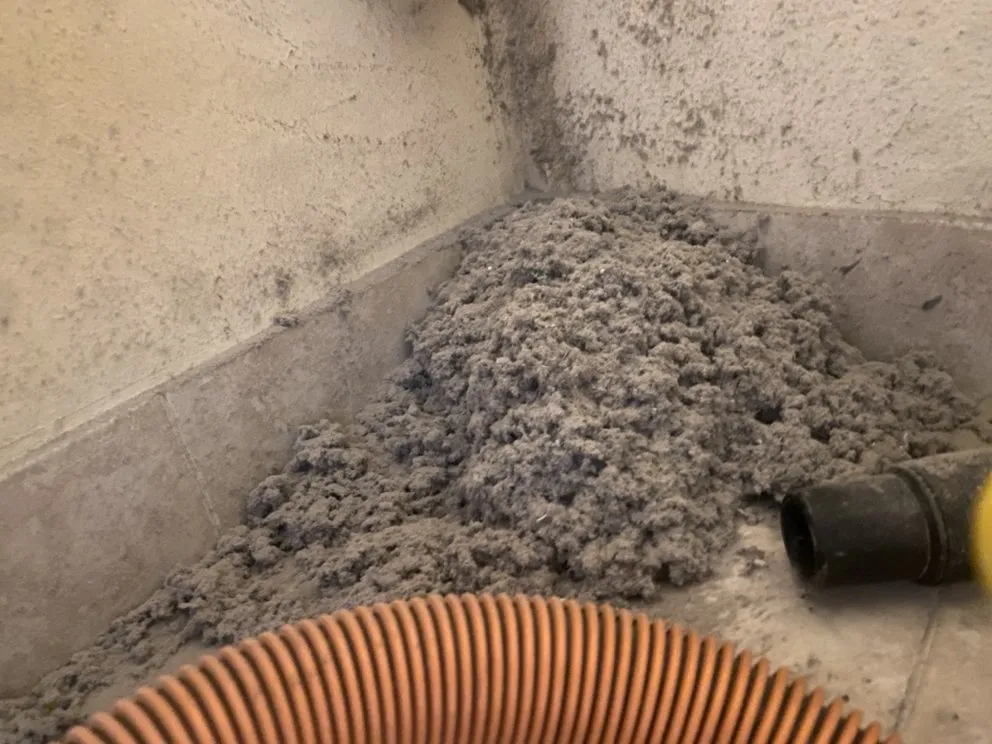 Slide of Pure Expert