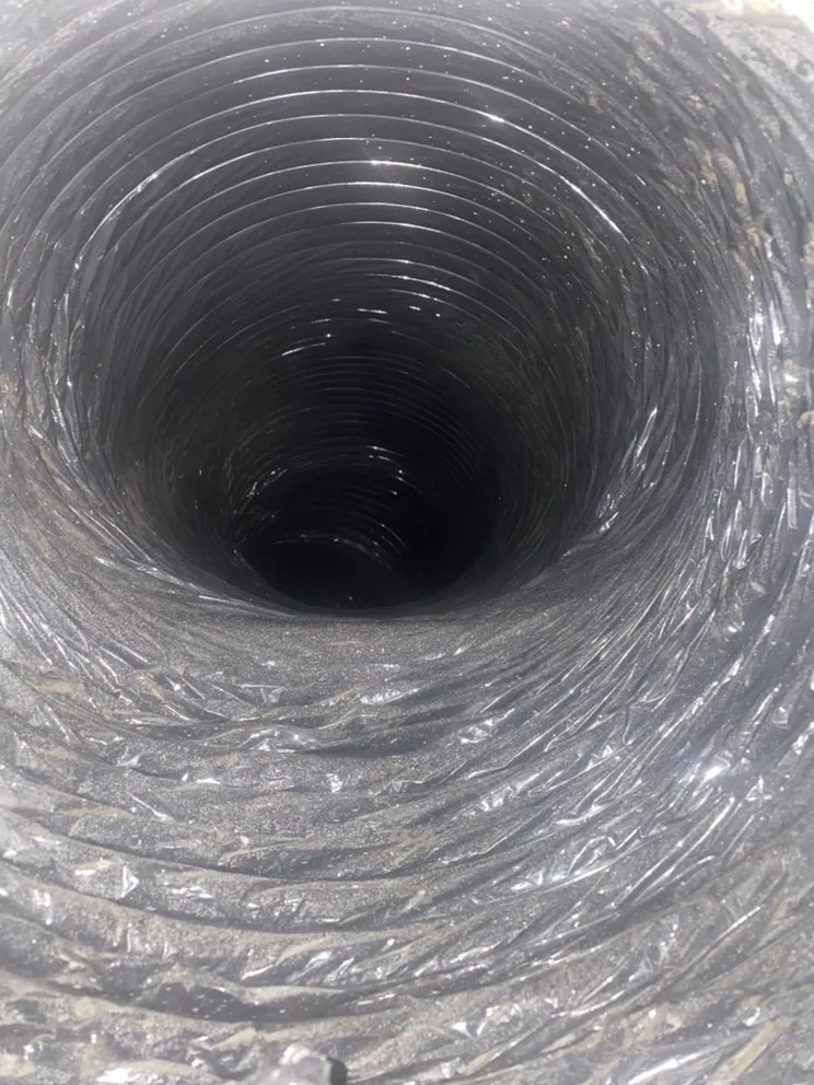 Slide of Pure Expert