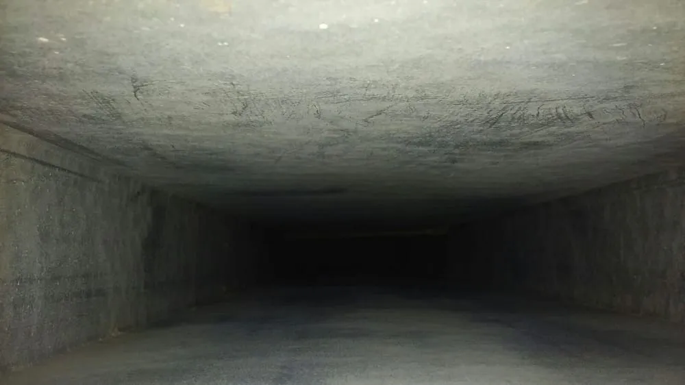 Slide of Pure Seasons