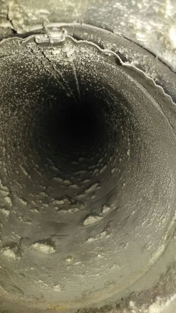 Slide of Pure Seasons