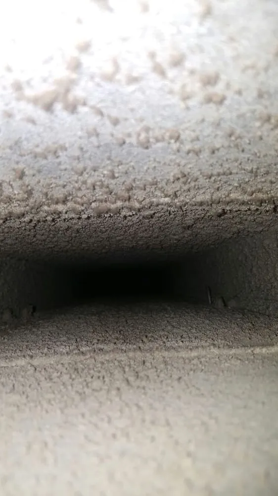 Slide of Pure Seasons