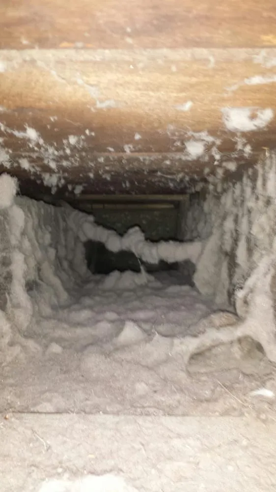 Slide of Pure Seasons