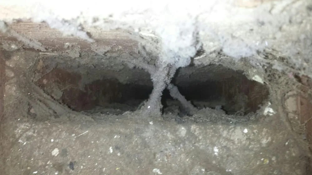 Slide of Pure Seasons