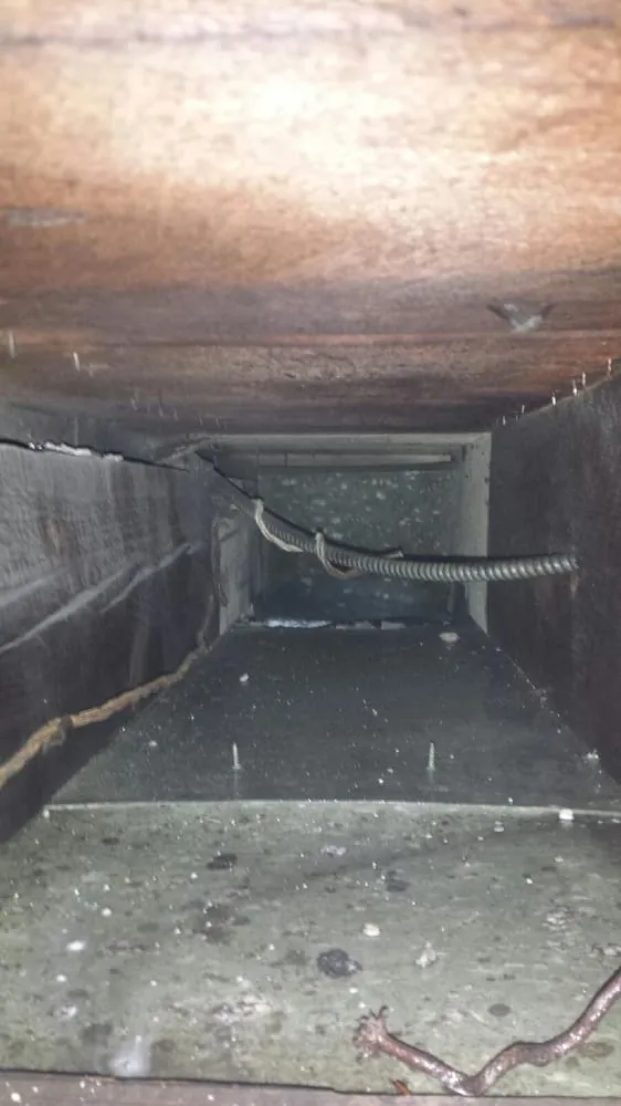 Slide of Pure Seasons