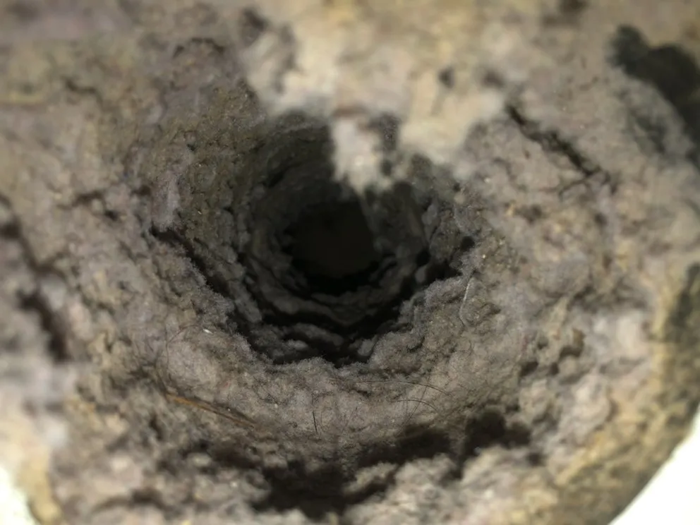 Slide of Pure Ultraviolet Home Air Care