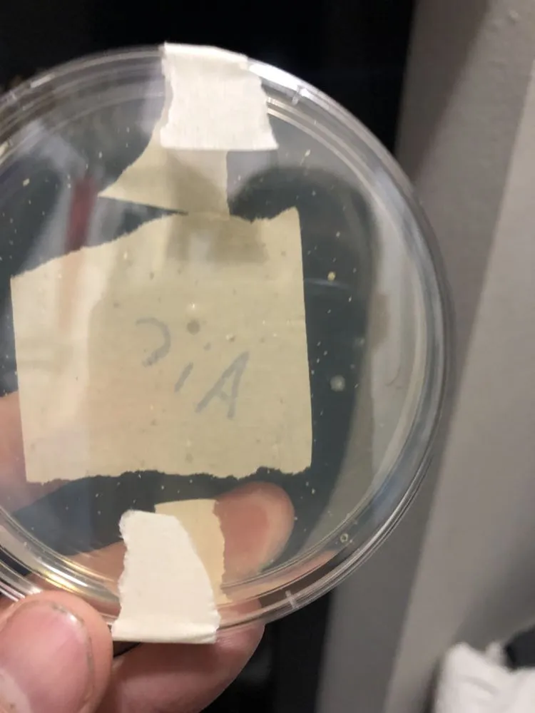 Slide of Pure Ultraviolet Home Air Care