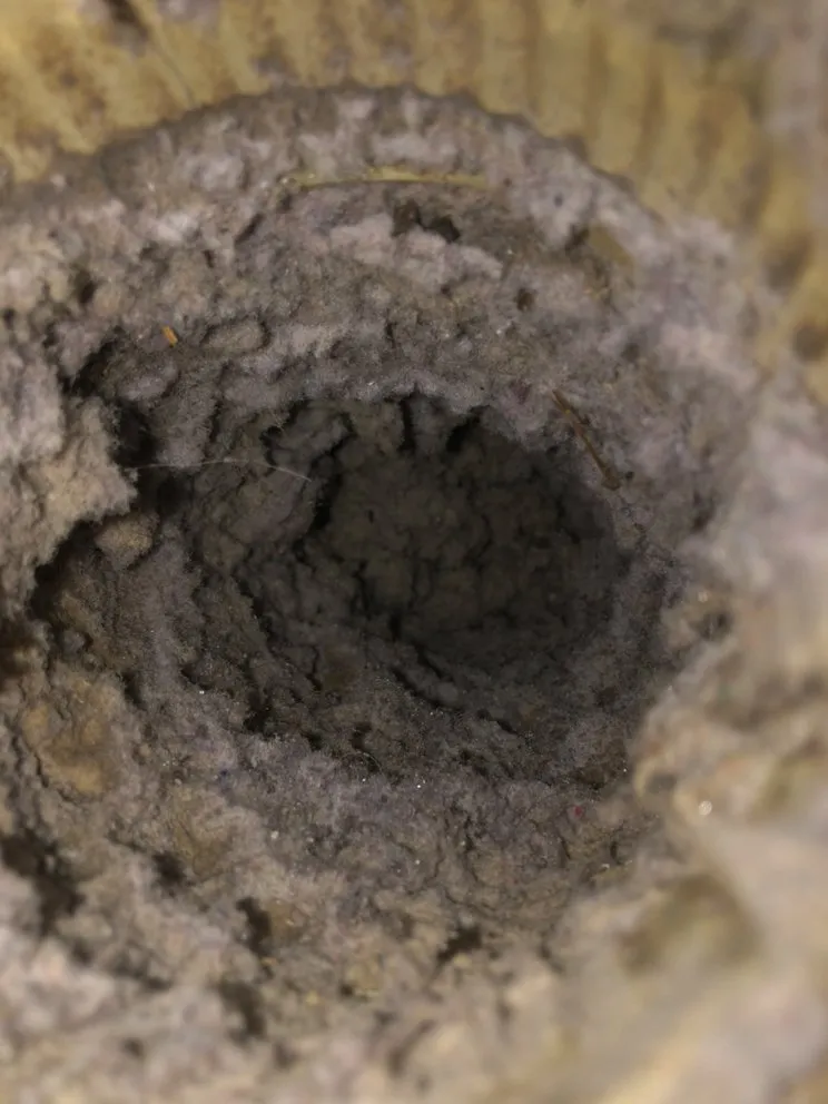 Slide of Pure Ultraviolet Home Air Care