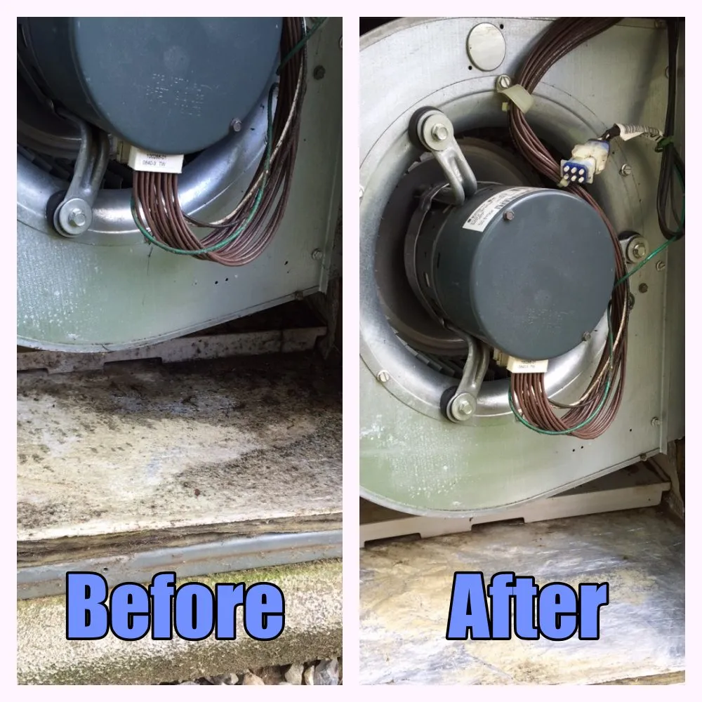 Slide of Purified Air Solutions