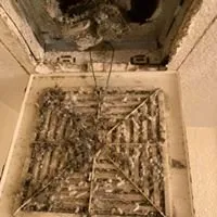 Slide of Quack Quack Duct Cleaning of San Diego